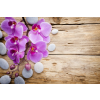  Fotótapéta Rózsaszín orchideák kövekkel, 350 x 200 cm