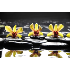  Fotótapéta Sárga orchideák kövekkel, 300 x 200 cm tapéta, díszléc és más dekoráció