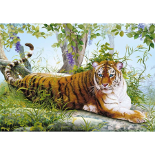 Fotótapéta Tigris a dzsungelben tapéta, díszléc és más dekoráció