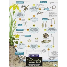  Freshwater name trail idegen nyelvű könyv