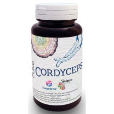 Freyagena Balance Fulvo-Cordyceps 60 db vitamin és táplálékkiegészítő