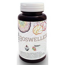Freyagena BoswelleX Forte - Tömjéngyanta Kivonat - 60 kapszula vitamin és táplálékkiegészítő