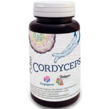  Freyagena Cordyceps Fulvo kapszula 60 db vitamin és táplálékkiegészítő