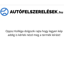Frogum Premium 3D magasperemes gumiszőnyeg Skywell ET5 suv, FWD since 2021 autószőnyeg