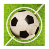 Fundrag 16 darabos papír szalvéta - Foci láz, futball
