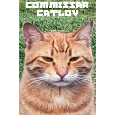 Fürst Commissar Catlov (PC - Steam elektronikus játék licensz) videójáték