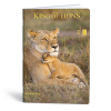  Füzet kockás LIPAMILL A/4 40 lapos King of lions