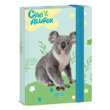 Füzetbox ARS UNA A/5 Cuki-Koala füzetbox