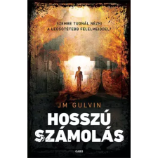 Gabo Hosszú számolás egyéb e-könyv