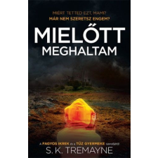 Gabo Kiadó Mielőtt meghaltam regény