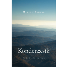 Gabriel Méry-RATIO Kondenzcsík - főbenjáró versek irodalom