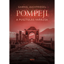 Gabriel Zuchtriegel - Pompeji - A pusztulás varázsa történelem