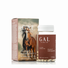 Gal Shoden® Ashwagandha kapszula 60db vitamin és táplálékkiegészítő