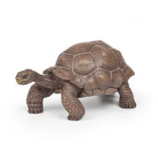  Galapagosi teknős játékfigura