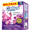 Gallus PROFESIONAL Color, 3,05 kg (55 mosás)