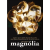 Gamma Home Entertainment Magnólia (DVD)