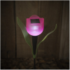 Garden Of Eden LED-es szolár tulipánlámpa, választható különböző színekből, 11703