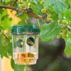 Garden Of Eden Szolár rovarcsapda - felakasztható