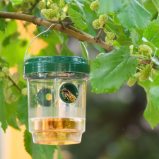 Garden Of Eden Szolár rovarcsapda - felakasztható tisztító- és takarítószer, higiénia