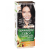 Garnier GARNIER Color Naturals Hajfesték 4.12 Jeges Barna