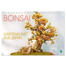  Gartenkunst aus Japan: Bonsai (Tischkalender 2026 DIN A5 quer), CALVENDO Monatskalender – Calvendo naptár, kalendárium