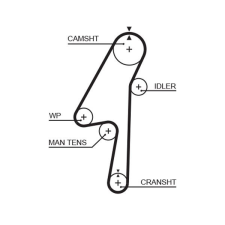Gates Fogasszíj GATES 5580XS autóalkatrész