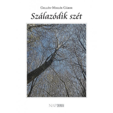 Gellén-Miklós Gábor Szálazódik szét (BK24-211596) irodalom
