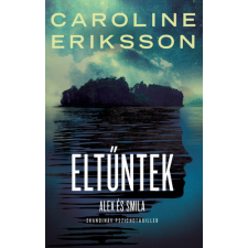 Geopen Eltűntek regény