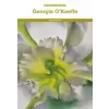  Georgia O'Keeffe – Georgia O'KEEFFE
