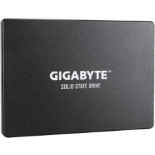 Gigabyte 1TB SATA 3 GP-GSTFS31100TNTD merevlemez