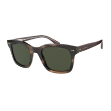 Giorgio Armani AR8138-573431 férfi napszemüveg napszemüveg