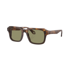 Giorgio Armani Napszemüvegek Giorgio Armani AR8194U 598814