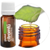 Gladoil Citromfű illóolaj Gladoil / Fleurita 100% tisztaságú hígítatlan illó olaj 10 ml