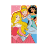 Global Licence Srl Disney Hercegnők polár takaró - 100 x 150 cm - 1