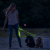 Globiz international LED-es póráz - akkumulátoros - 120 x 2,5 cm - zöld