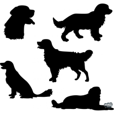 Golden retriever matrica szett matrica