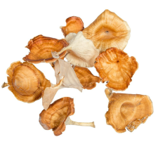  Gomba vegyes krém 6,5dkg/csom dekorációs kellék