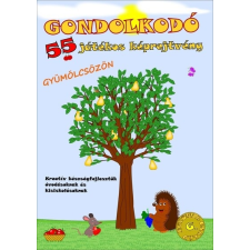  - GONDOLKODÓ - 55 JÁTÉKOS KÉPREJTVÉNY gyermek- és ifjúsági könyv
