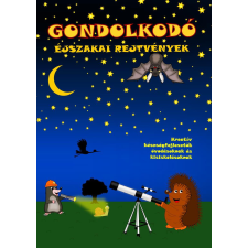 Gondolkodó - Éjszakai rejtvények gyermek- és ifjúsági könyv