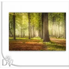  Green Forest grafika, keretezett kép