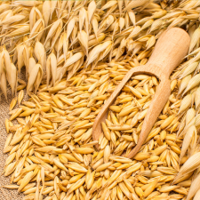 Greenmark Bio Zab 5 kg XXL reform élelmiszer