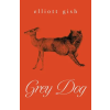  Grey Dog