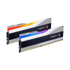 GSkill 32 GB DDR5 6000 MHz RAM G.Skill Trident Z5 Silver RGB (2x16 GB, CL36)