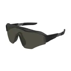 Gucci GG2017S 003 BLACK GREY napszemüveg