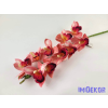  Gumis cymbidium 10 fejes orchidea ág 75 cm - Púder Rózsaszín