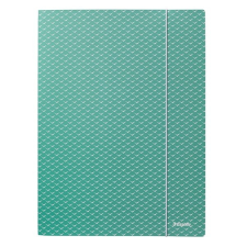  Gumis mappa ESSELTE Colour Breeze A/4 karton zöld mappa