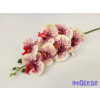  Gumis orchidea 7 fejes ág 77 cm - Krém-Pöttyös