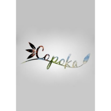 Guru Games Copoka (PC - Steam elektronikus játék licensz) videójáték