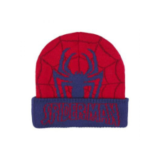 Gyermek téli sapka SPIDERMAN Premium, 2200009634 gyerek sapka