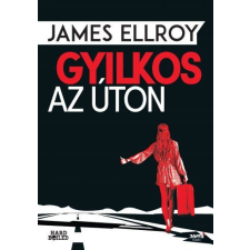  Gyilkos az úton regény